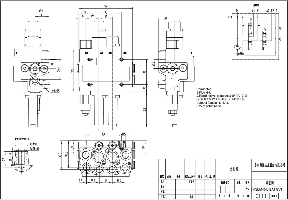 DM45 Kablo 2 Makara Monoblok Yönsel Valf drawing image