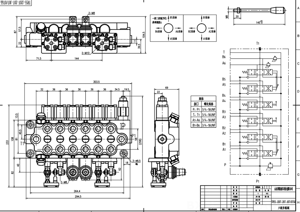 TR55 Manuel ve Joystick 6 Makara Monoblok Yönsel Valf drawing image