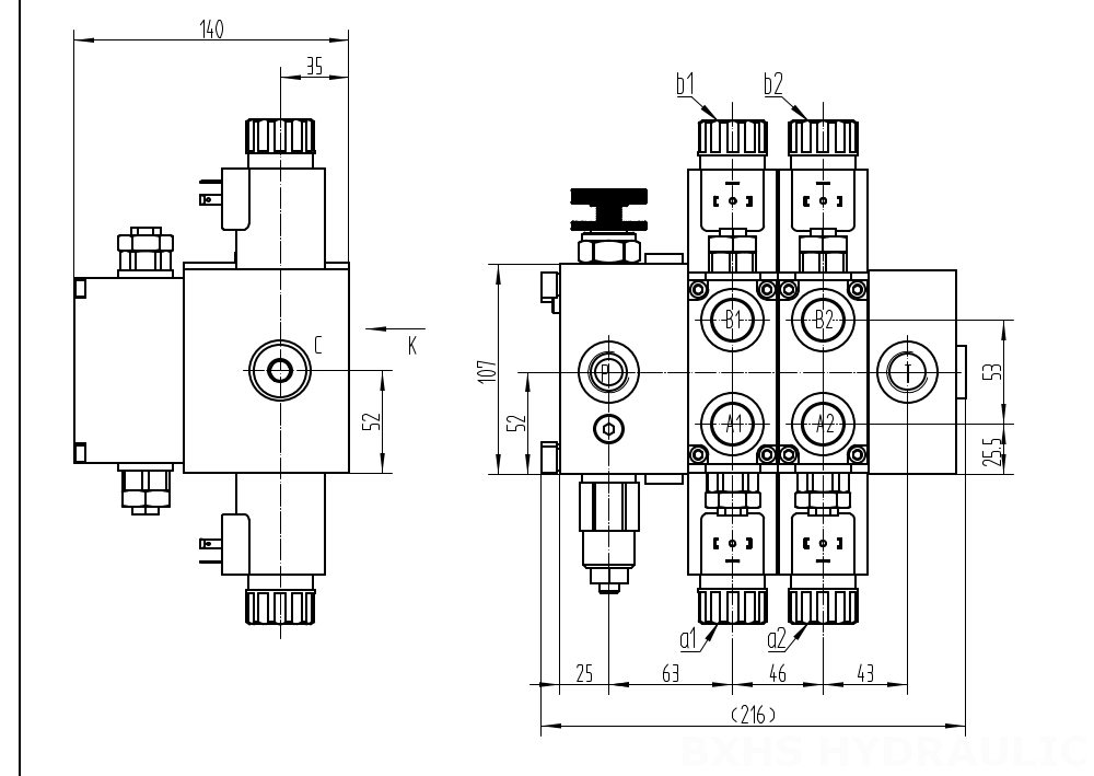 DCV58F Selenoid 2 Makara Kesitsel Yönsel Valf drawing image