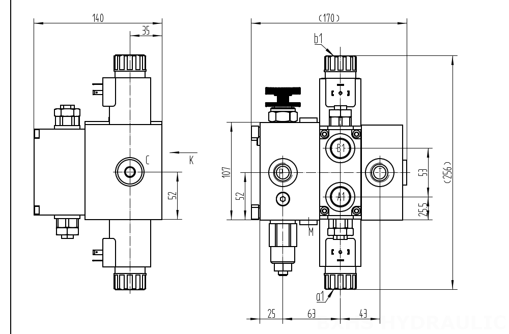 DCV58F Selenoid 1 Makara Kesitsel Yönsel Valf drawing image