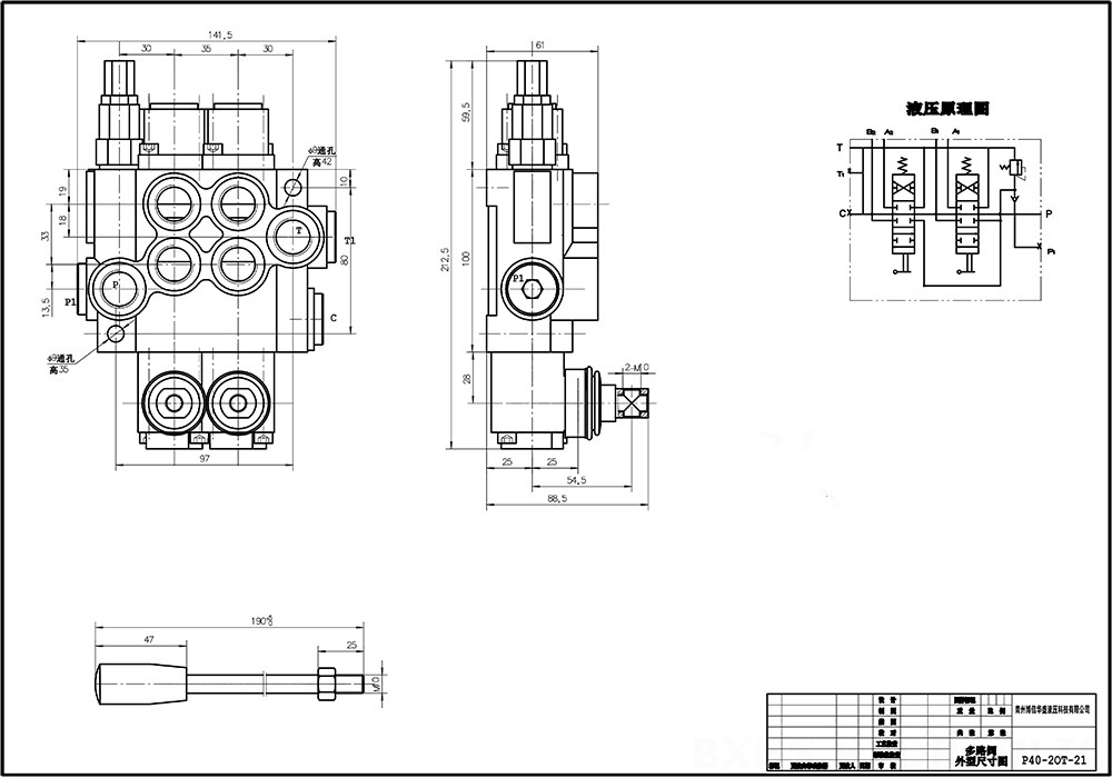 P40A Manuel 2 Makara Monoblok Yönsel Valf drawing image