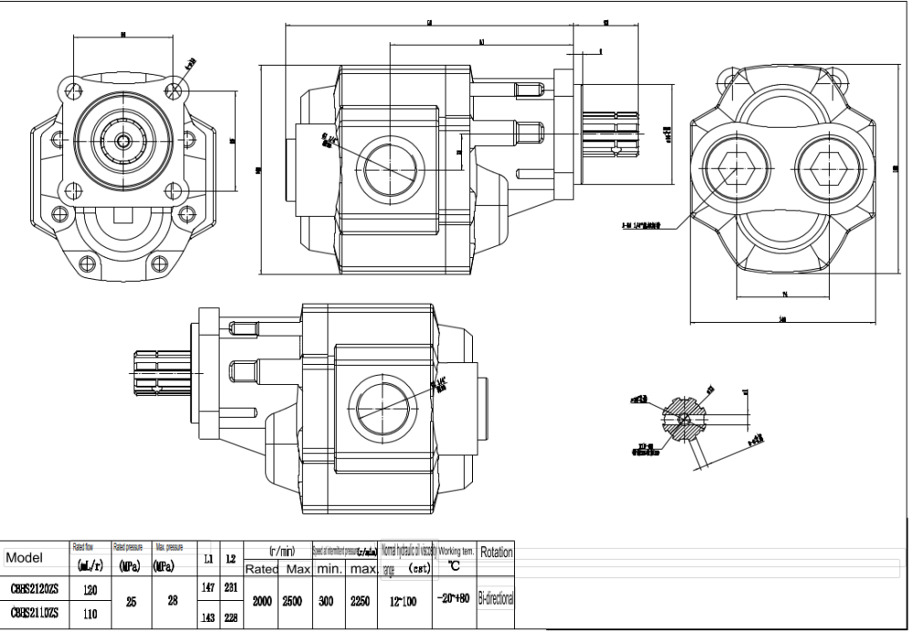 CBHST1-ISO-110 110 cc/dev Hidrolik Dişli Pompa drawing image