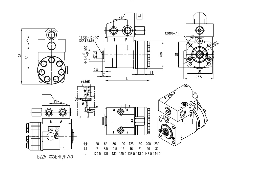 101S-5T-50-PV40 50 ml/r 5 L/dakika Direksiyon Ünitesi drawing image