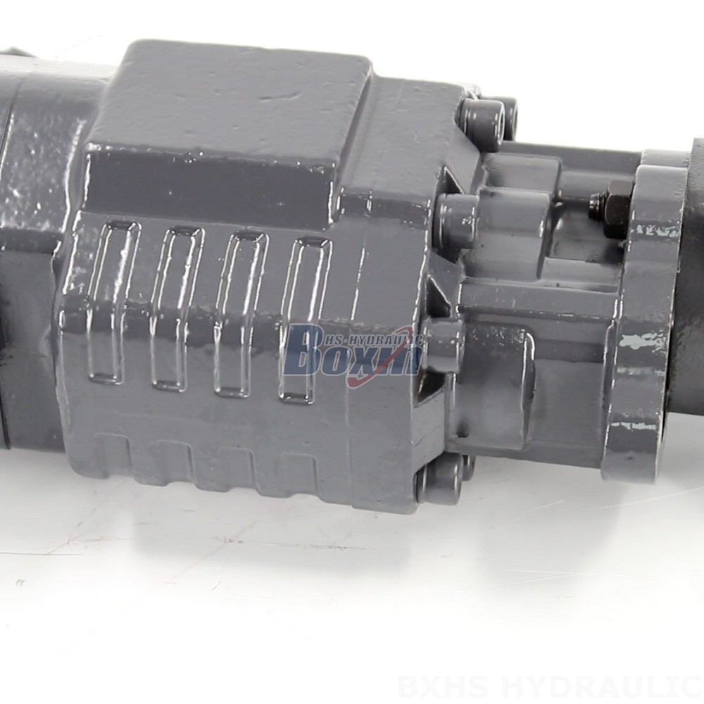 Seeking Global Distributors, Wholesalers, Agents for BF110A-ZF1 Hydraulic Gear Pumps detail image