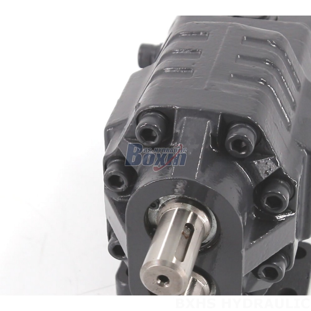 BF62M 20 MPa (2900 psi) Hydraulic Gear Pump - Industrial Performance detail image