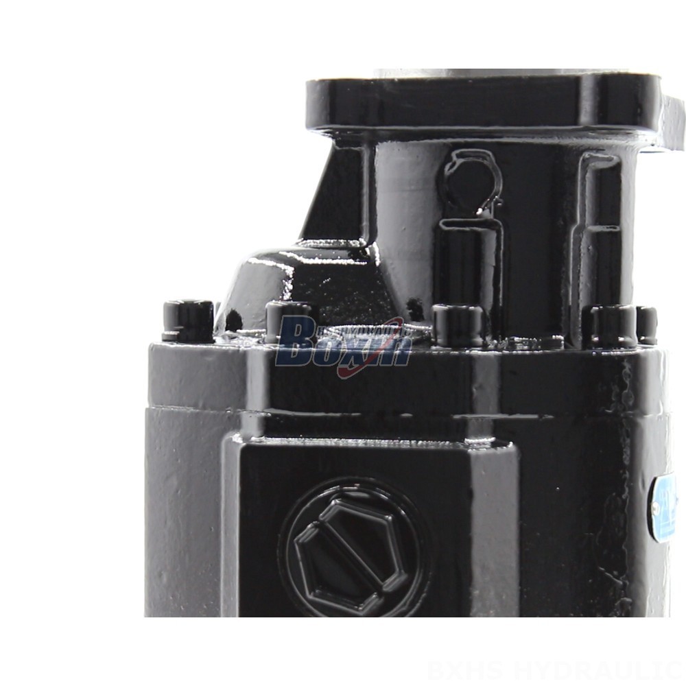High-Performance Hydraulic Gear Pumps: Optimizing Power and Efficiency detail image