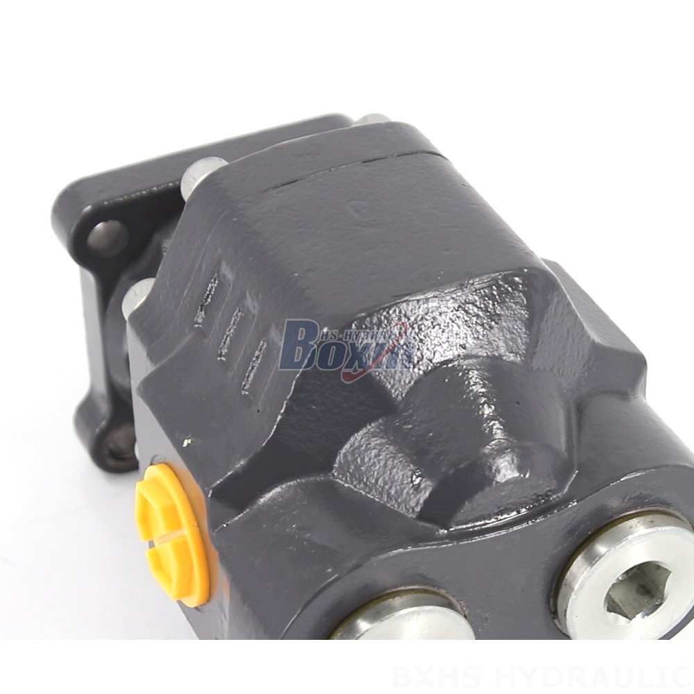 CBHW-ISO-80-H 22 MPa Hydraulic Gear Pump - Manufacturer Direct Supply detail image