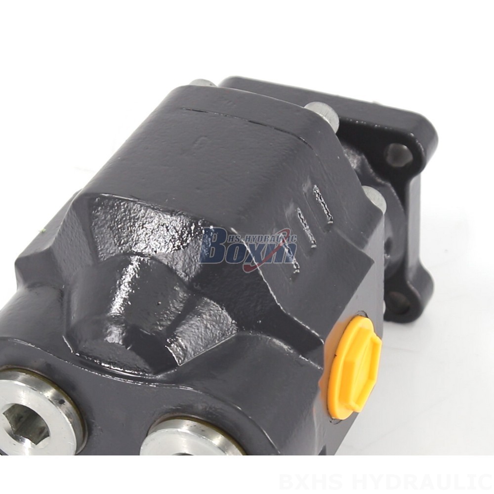 CBHW-ISO-80-H 22 MPa Hydraulic Gear Pump - Manufacturer Direct Supply detail image