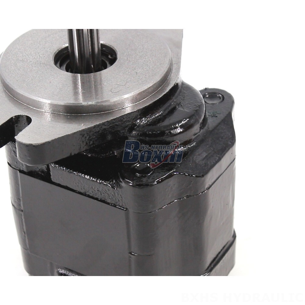 CBHZ-F20R Hydraulic Gear Pump: OEM & ODM Services Available detail image