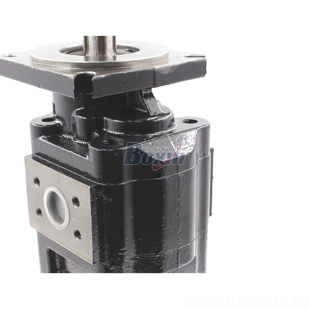 JHP2080-2080 Hydraulic Gear Pump: OEM & ODM Services Available detail image