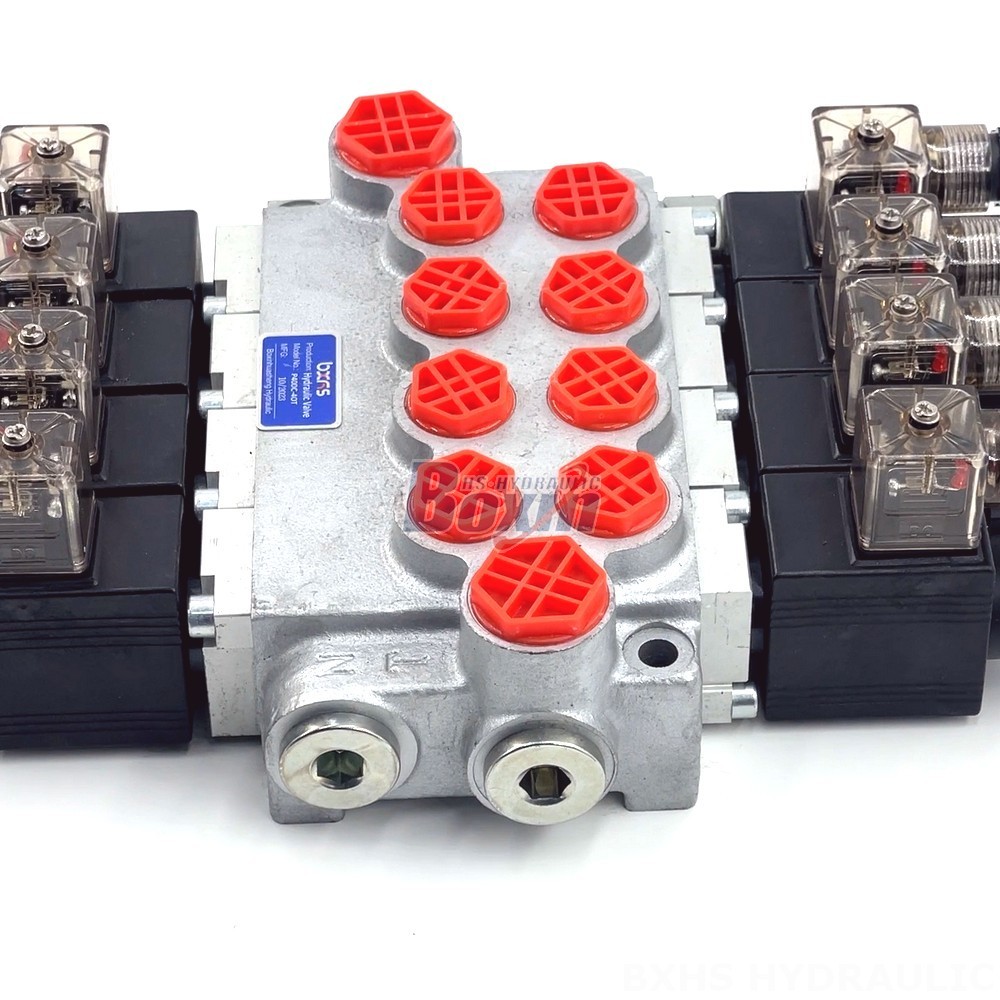 Global Supply Chain: Source P40-DKL Valves from Our Advanced Manufacturing Hubs detail image