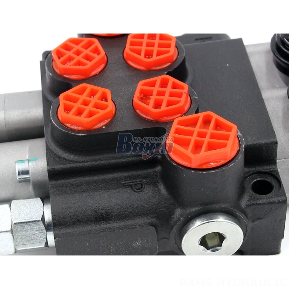 Custom Hydraulic Valves: P40-G12-G38-OT-QTW ODM Solutions detail image