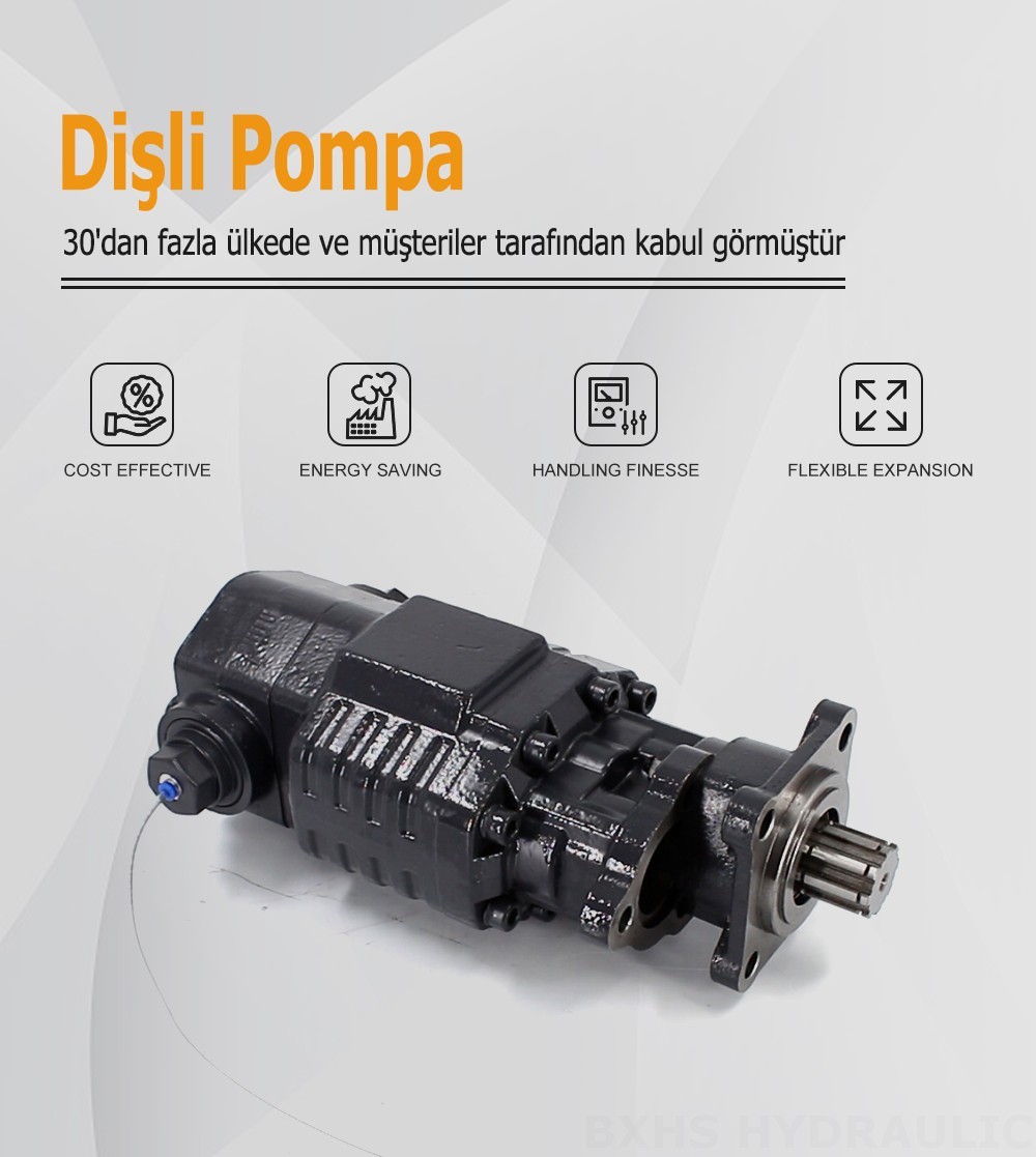 BF110A-ZF1 110 cc/dev 20 MPa (2900 psi) Hidrolik Dişli Pompa