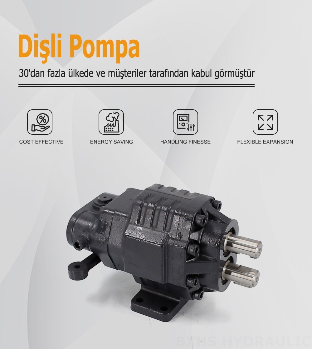 BF62M 63 cc/dev 20 MPa (2900 psi) Hidrolik Dişli Pompa