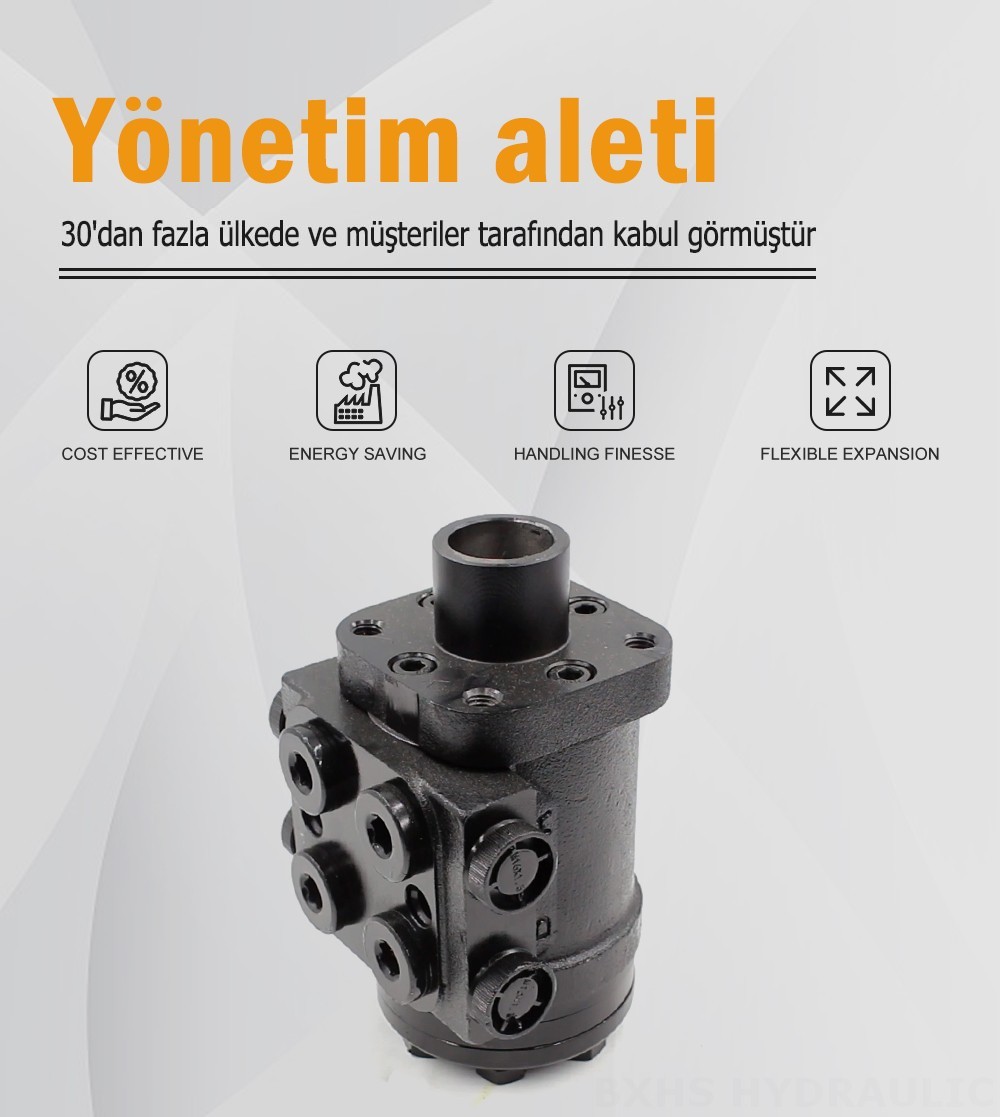 BZZ1-E80AS 80 ml/r 6 L/dakika Direksiyon Ünitesi