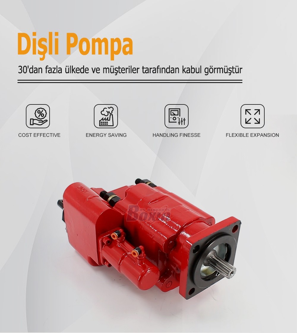 Durable C102-AS-25-H 100 cc/rev Hydraulic Gear Pump for Heavy Equipment