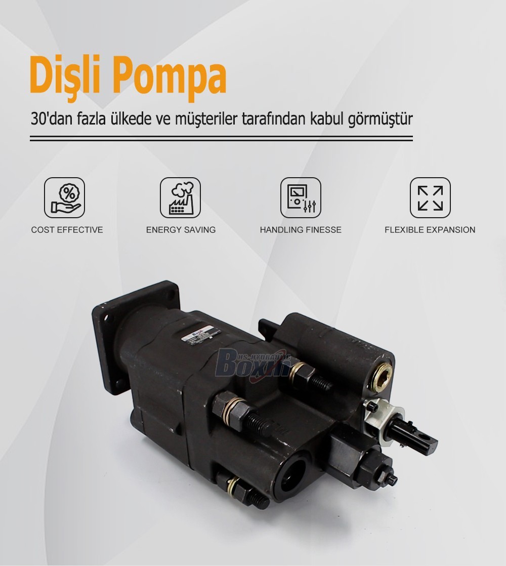 High Performance C102-LMS-25 100 cc/rev External Gear Pump