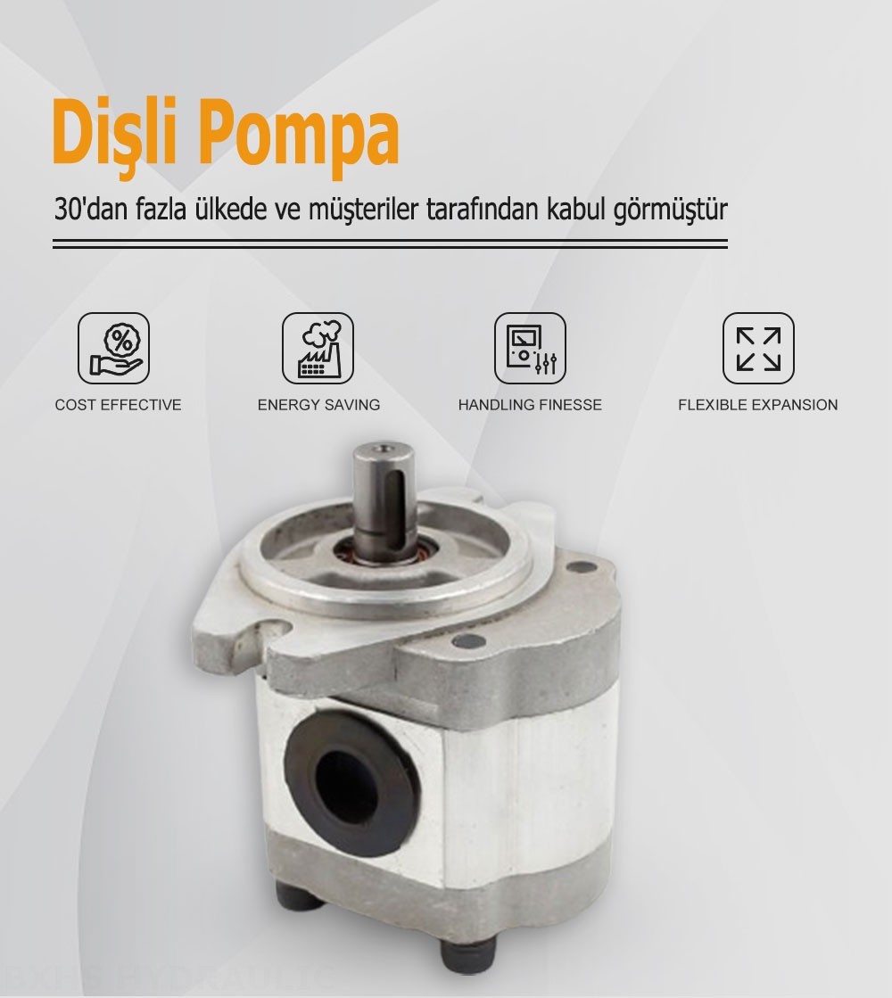 CBHS-FL-306 Devir Başina 6 cc Hidrolik Dişli Pompa