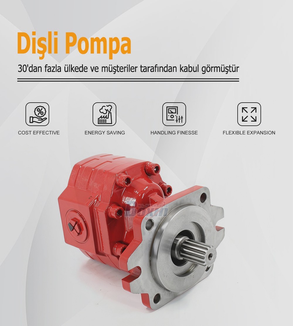 Durable CBHS3100 100 cc/rev Hydraulic Pump for Machinery