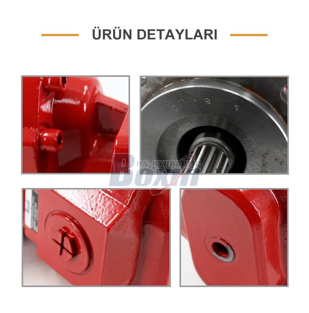 Durable CBHS3100 100 cc/rev Hydraulic Pump for Machinery