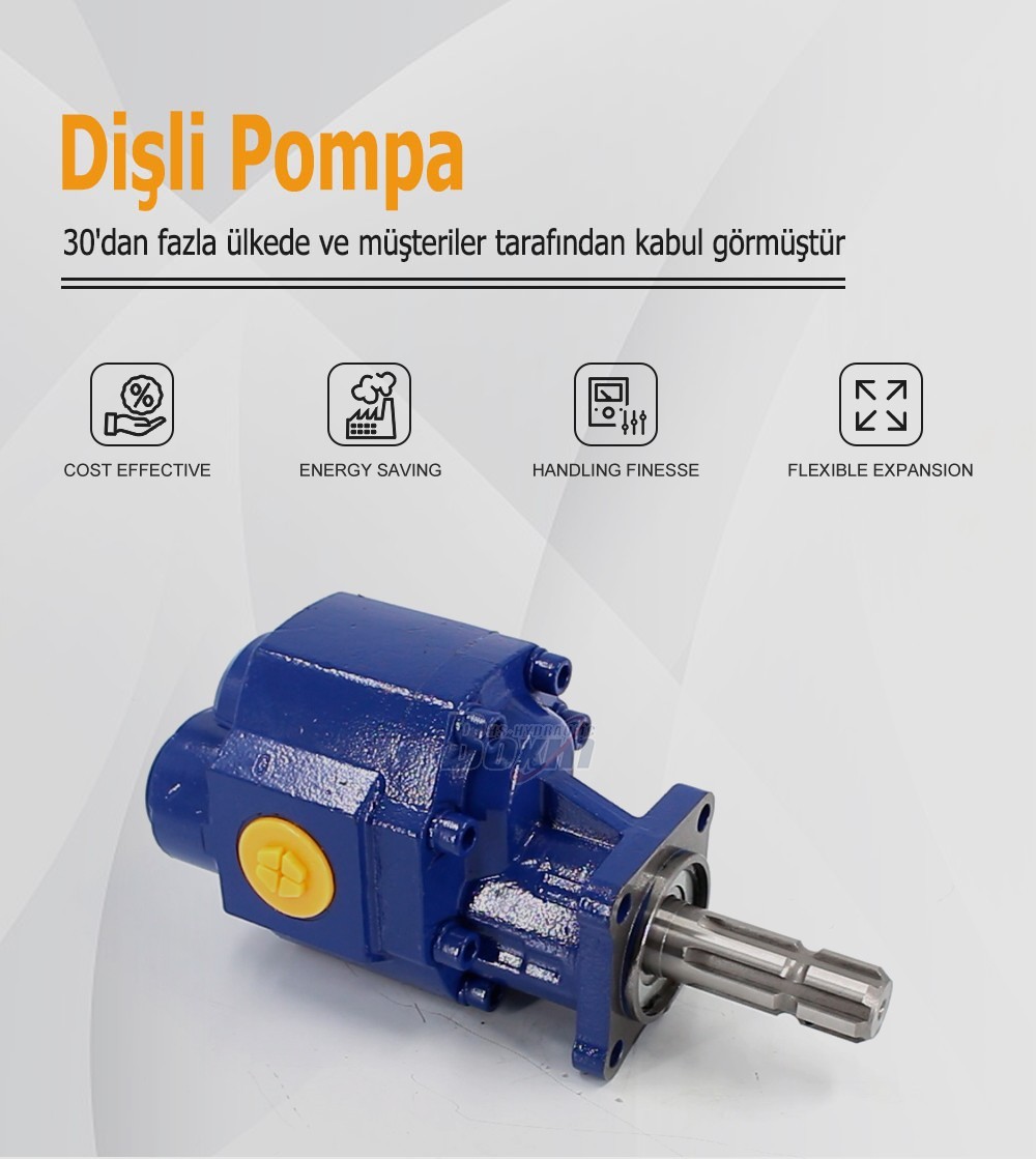 CBHST1-110-KZ 110 cc/rev Hydraulic Gear Pump for Industrial Machinery