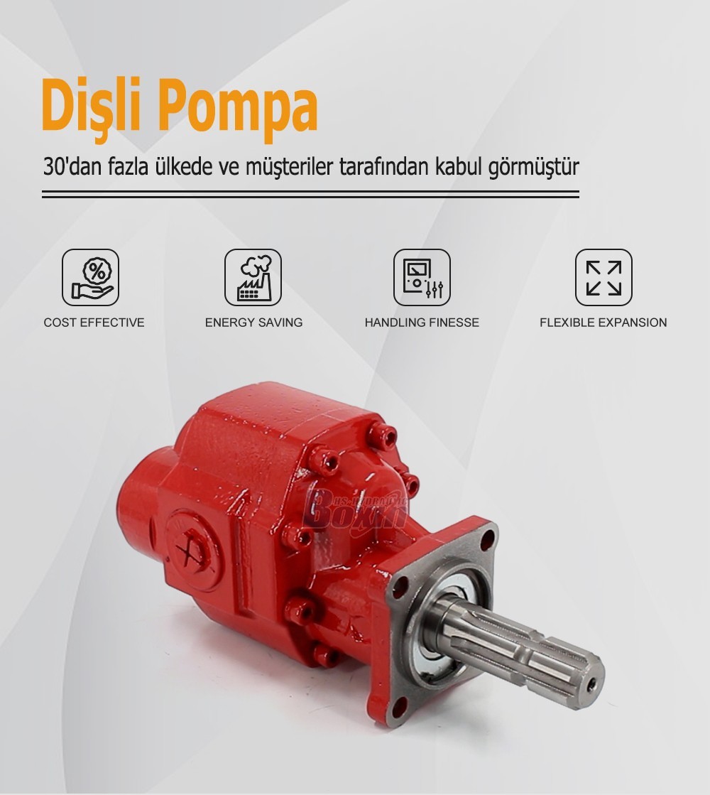Bulk Order CBHST1-80-KZ 80 cc/rev Hydraulic Gear Pump from Certified Factory