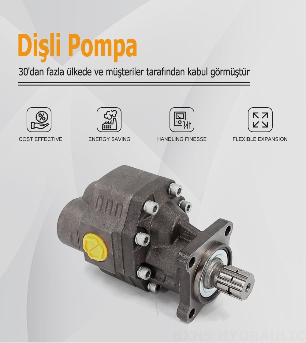 CBHW-ISO-100-Y 100 cc/dev 22 MPa (3190 psi) Hidrolik Dişli Pompa