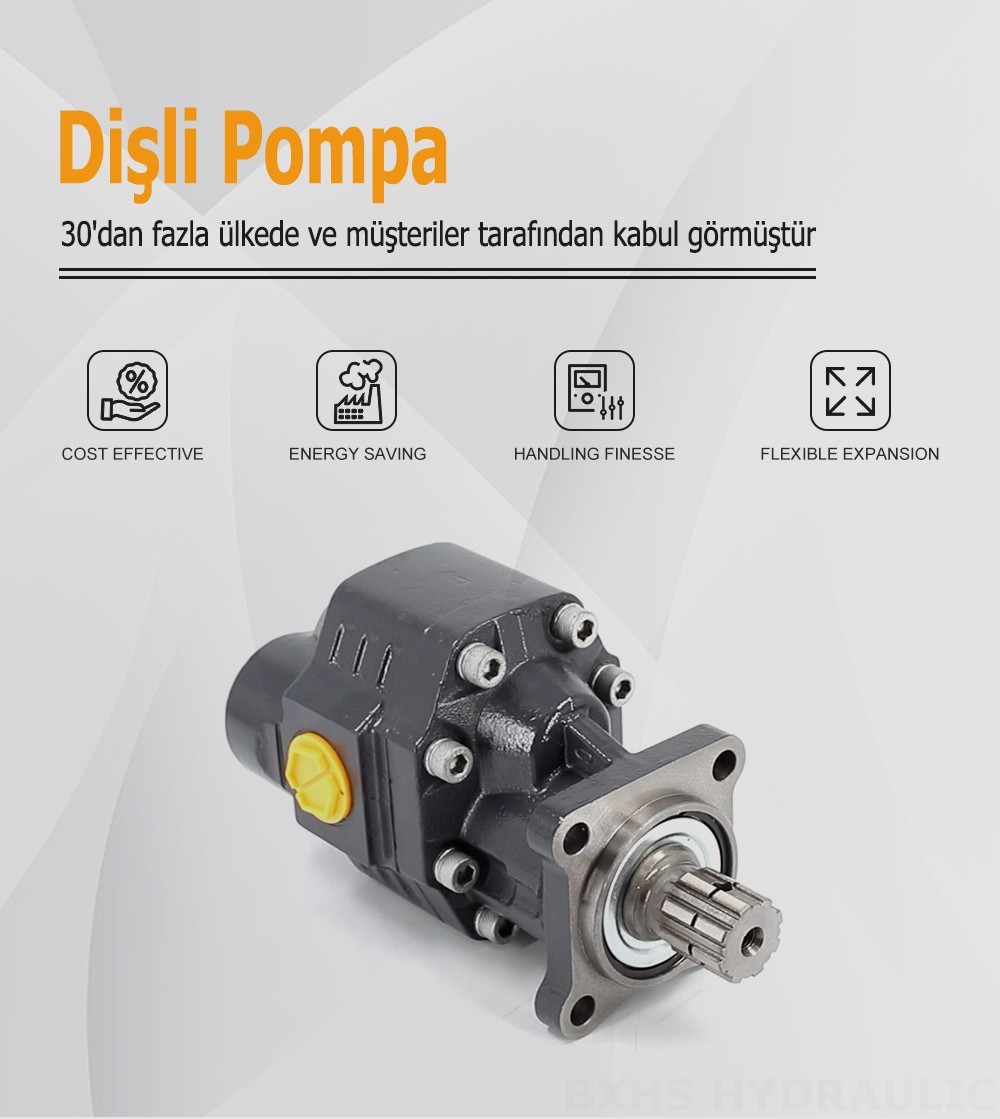 CBHW-ISO-80-H 80 cc/dev 22 MPa (3190 psi) Hidrolik Dişli Pompa