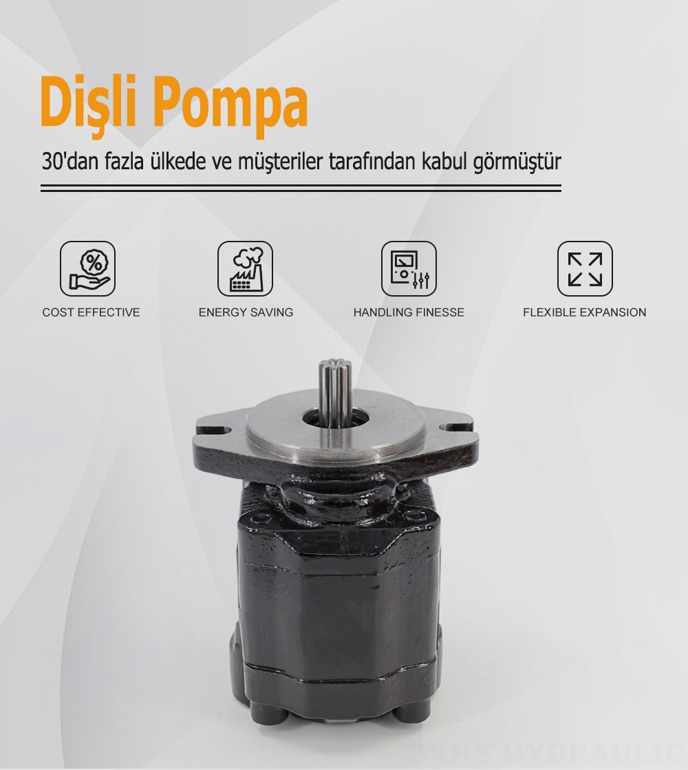 CBHZ-F20R 19.7 cc/devir Hidrolik Dişli Pompa