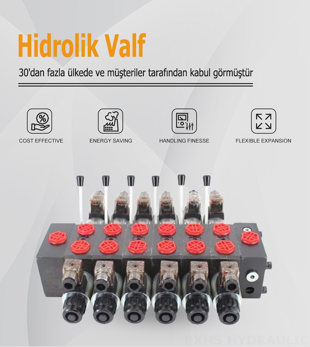 DCV58 Selenoid 6 Makara Kesitsel Yönsel Valf