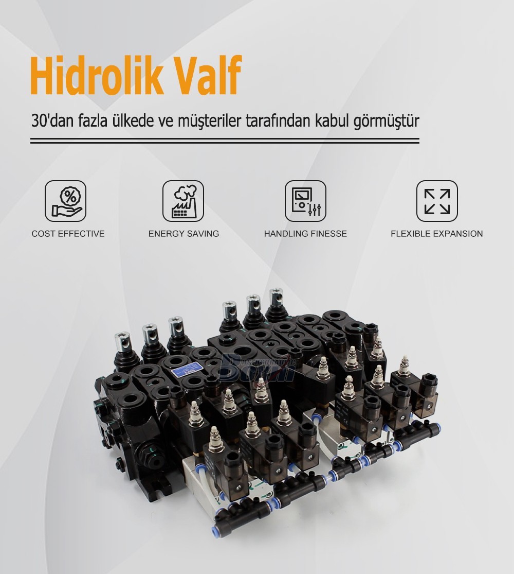 Seeking Global Distributors and Wholesalers for DCV60 6 Spool Valves