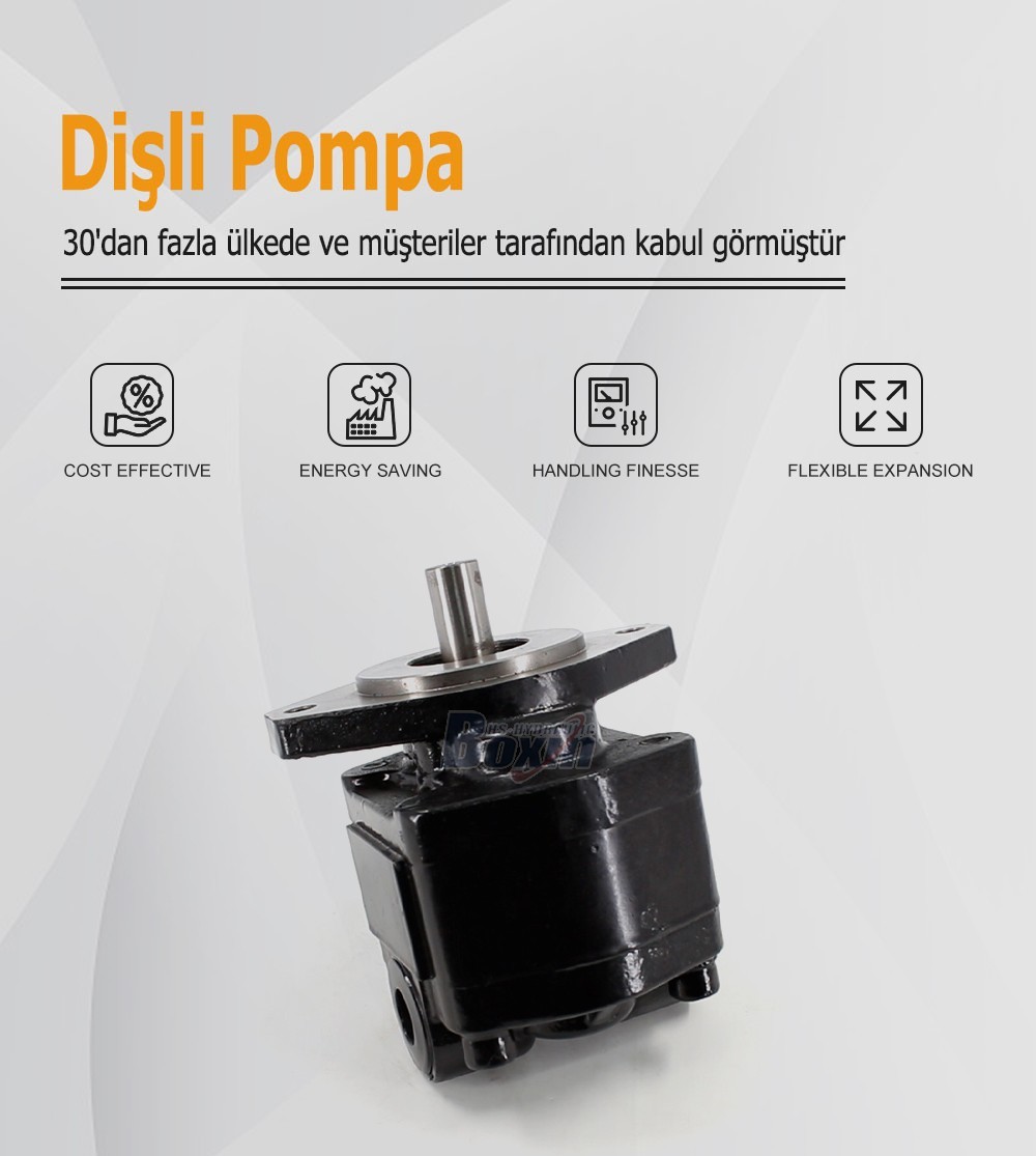 High Performance CBHS-FC25 Hydraulic External Gear Pump 25cc
