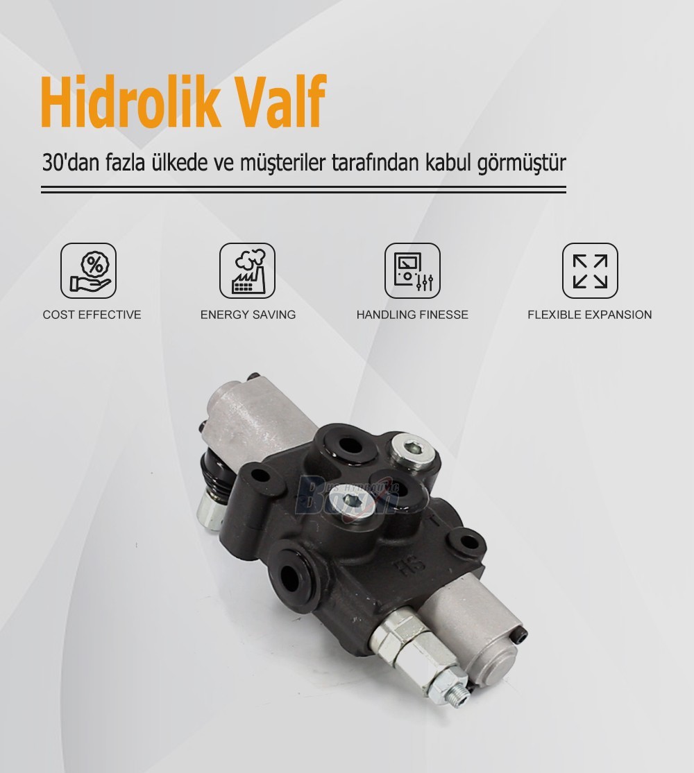 Manual Operated HS45-FZJ 1 Spool Monoblock Valve for Fluid Power
