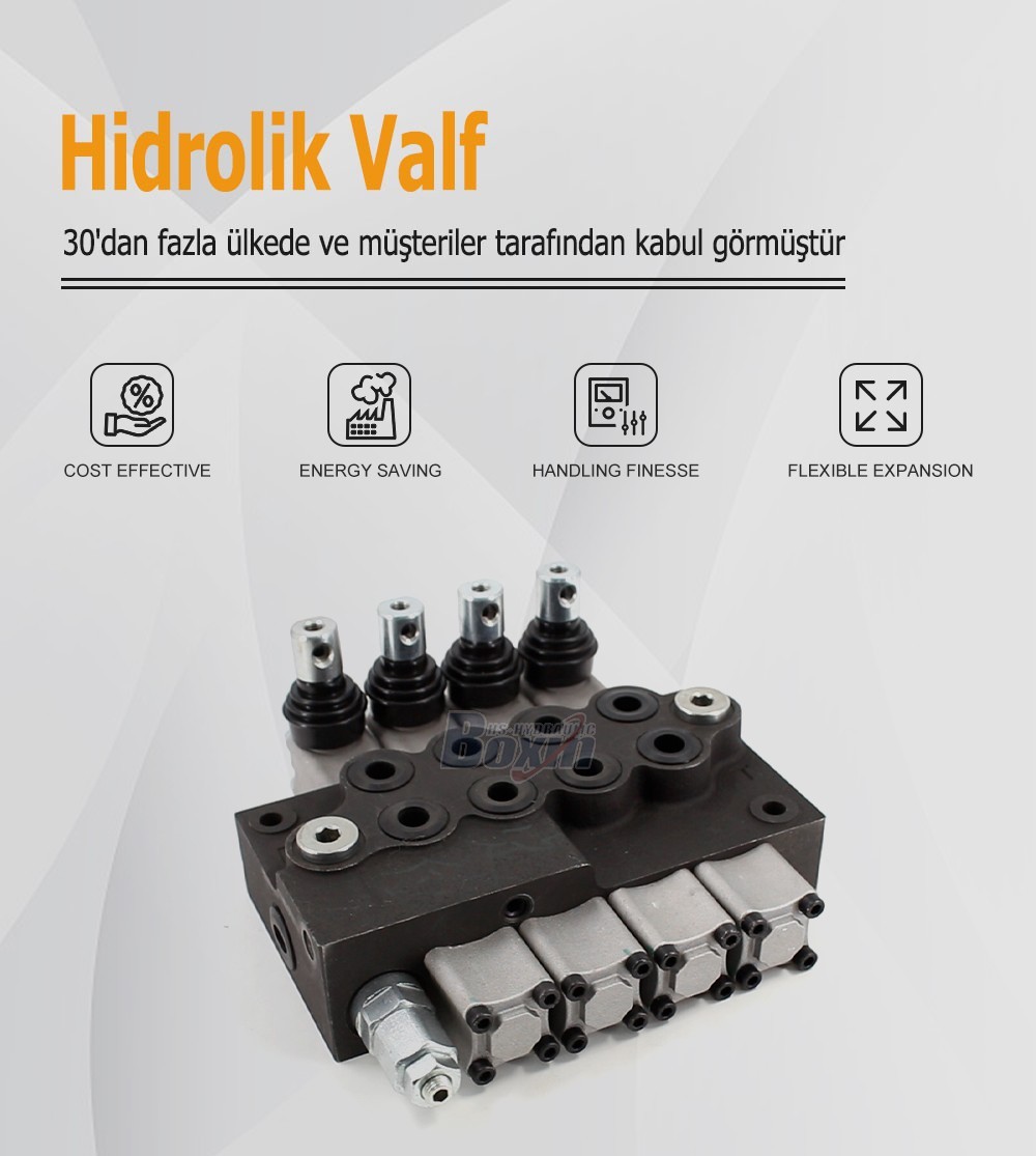 Strategic Business Partnership Opportunities for HS45 Manual 4 Spool Monoblock Directional Valve