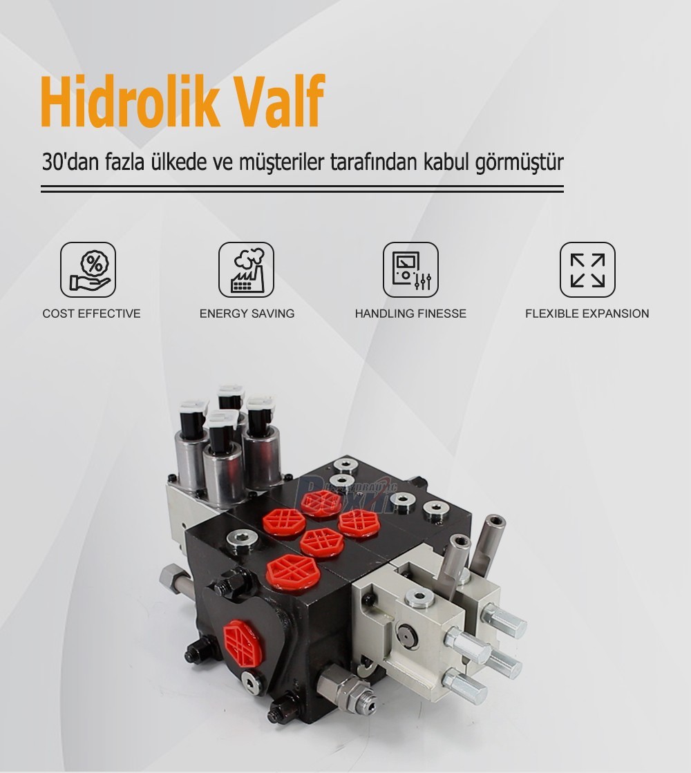 Manufacturer Source: HSDPX100DY-2 Electro-hydraulic Sectional Valve Bulk Supply