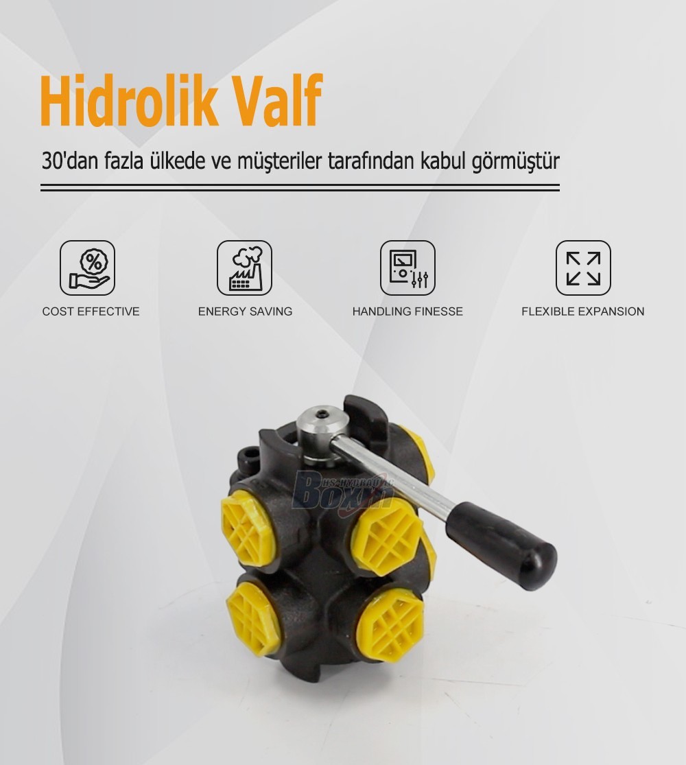 Industrial HSDV33-2 Manual 2 Spool Selector Valve