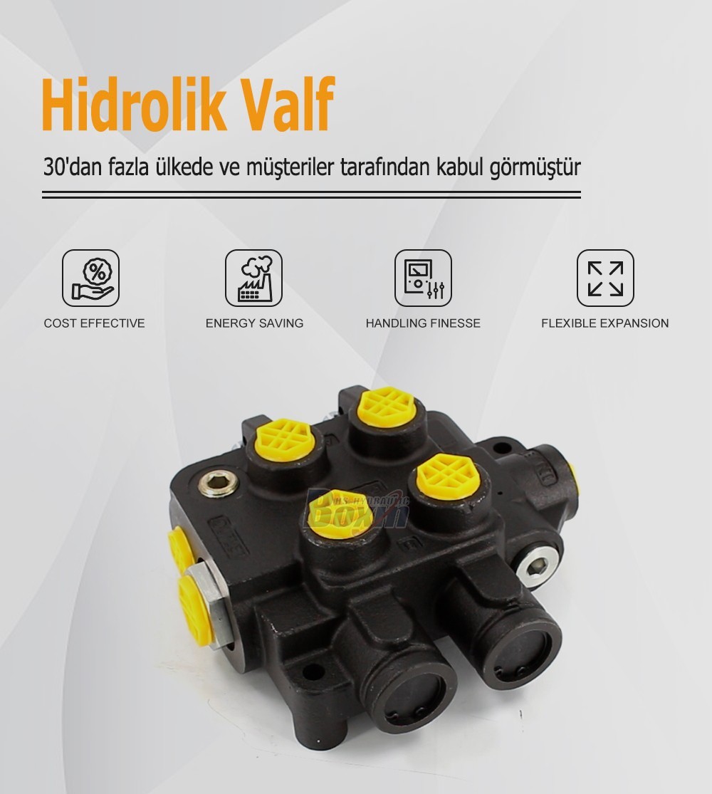 Global Partnership Opportunities for HSSP-2OT-J 2 Spool Hydraulic Valves
