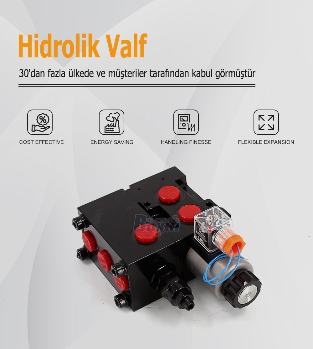 High Performance HSV06-AQF Solenoid Flow Diverter Valve 2 Spool
