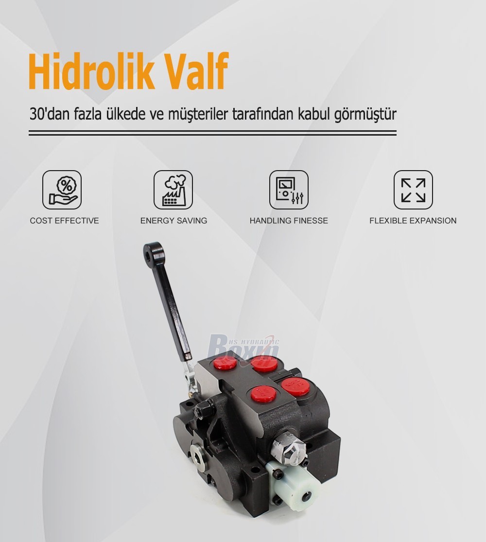High Performance HSV20 Manual Sectional Control Valve 1 Spool