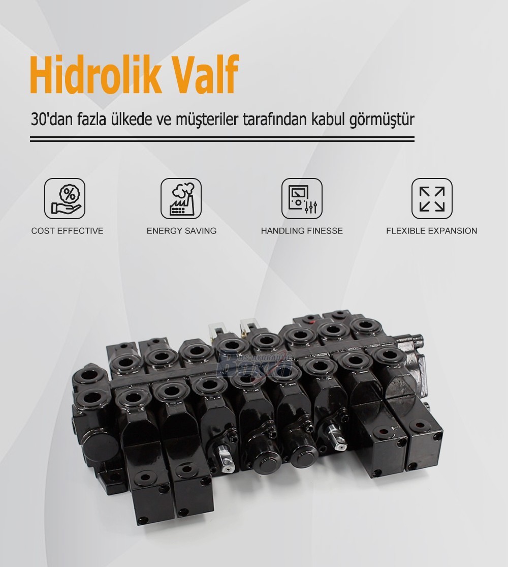 HSW50 Series 8 Spool Monoblock Control Valve for Hydraulic Systems
