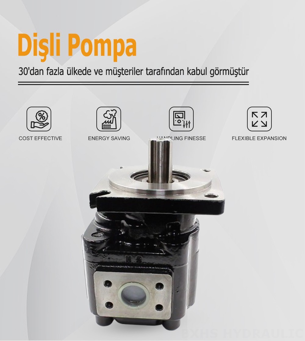 JHP2063 63 cc/dev Hidrolik Dişli Pompa