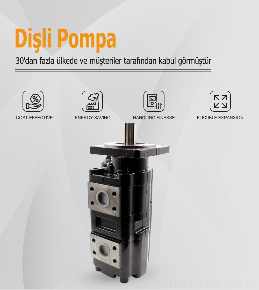 JHP2080-2080 80 cc/dev Hidrolik Dişli Pompa