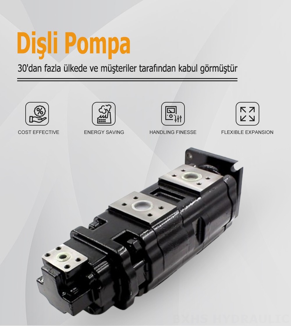 JHP2100-2080-1016 100 cc/dev Hidrolik Dişli Pompa