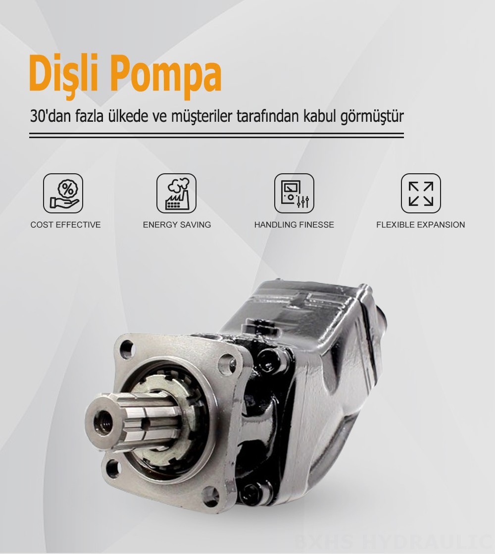 LB-63 63 cc/dev Hidrolik Piston Pompası