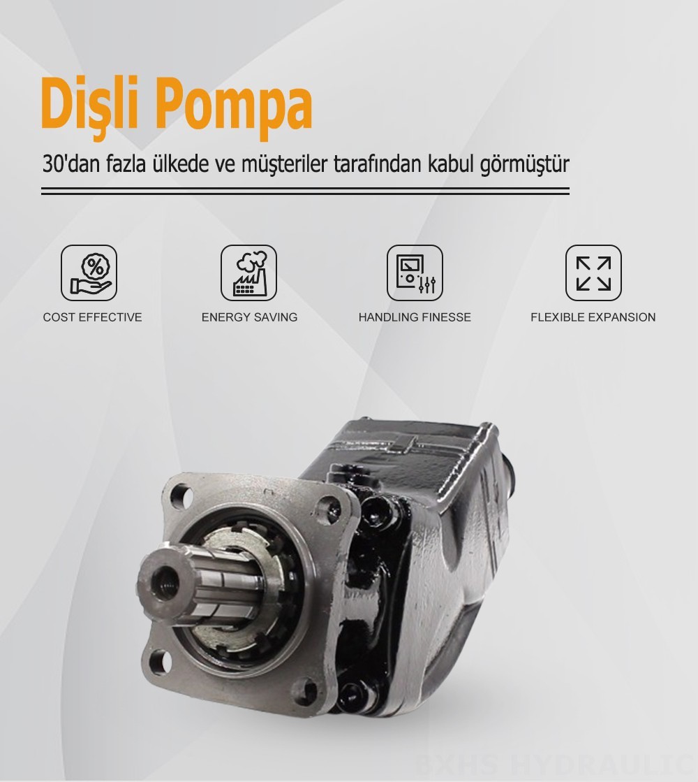 LB-80 80 cc/dev Hidrolik Piston Pompası