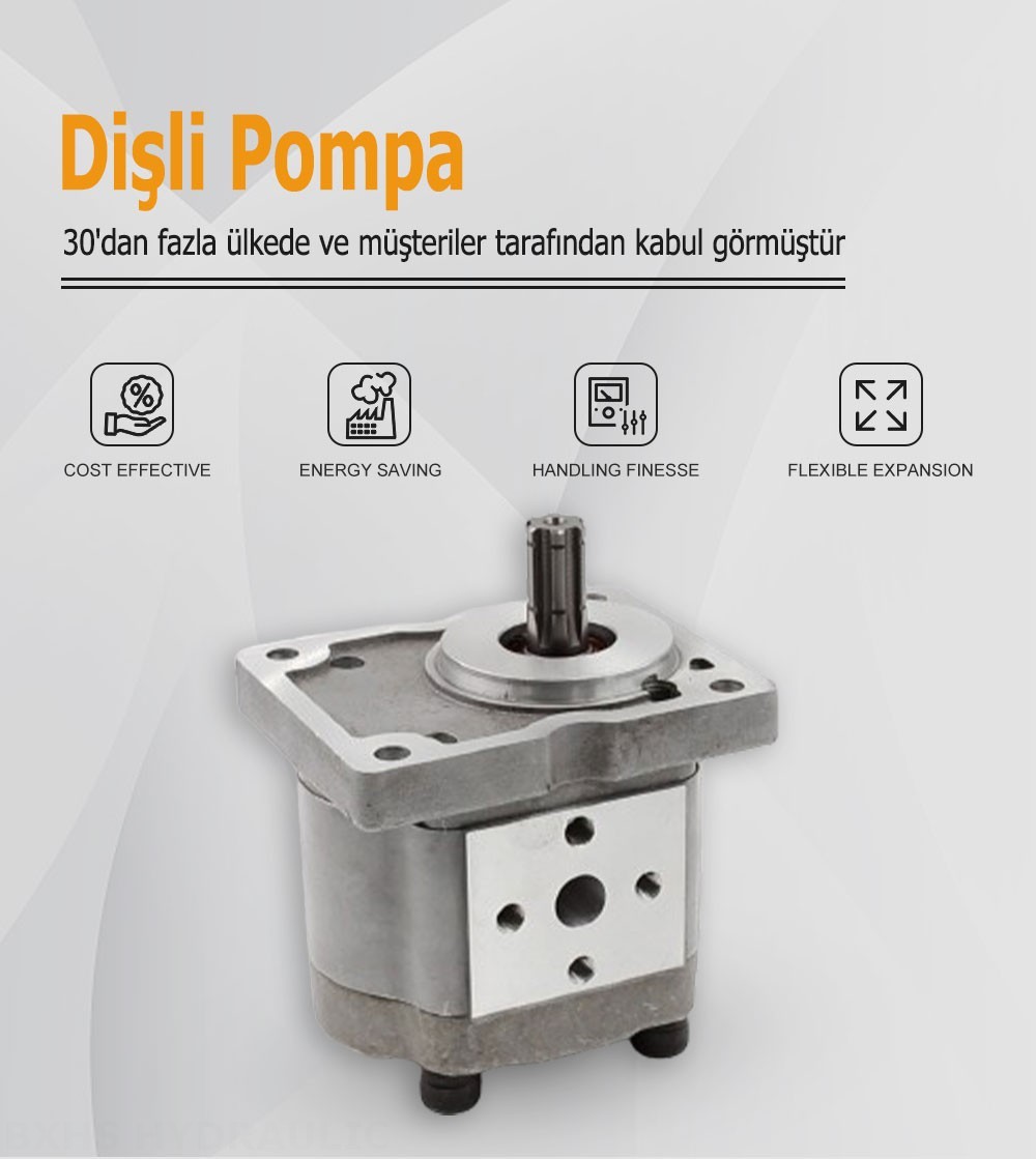 NSH-10 10 cc/dev Hidrolik Dişli Pompa