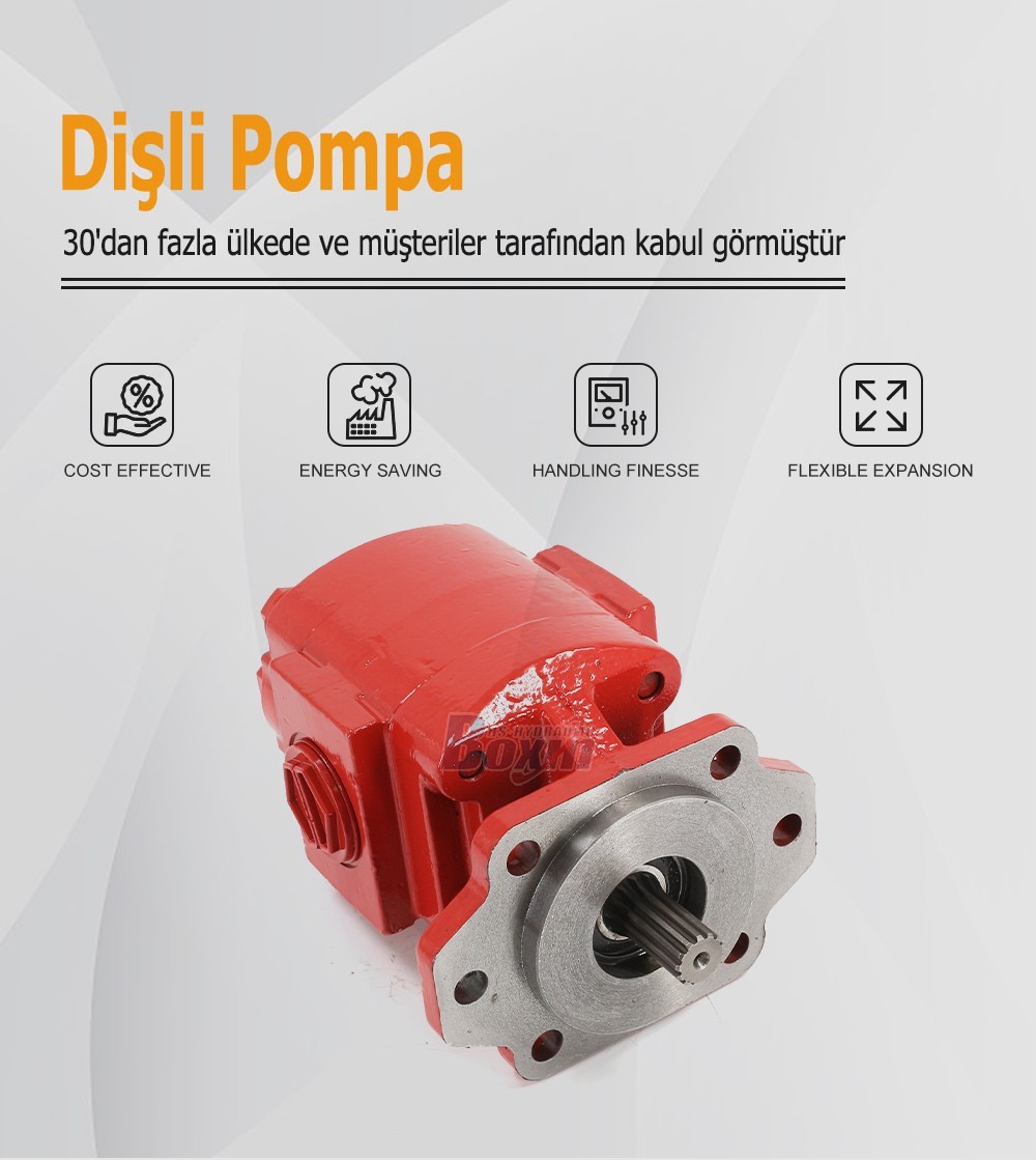 High Performance P21A646JEAL20-25-H 64.6 cc/rev Hydraulic Gear Pump Supply