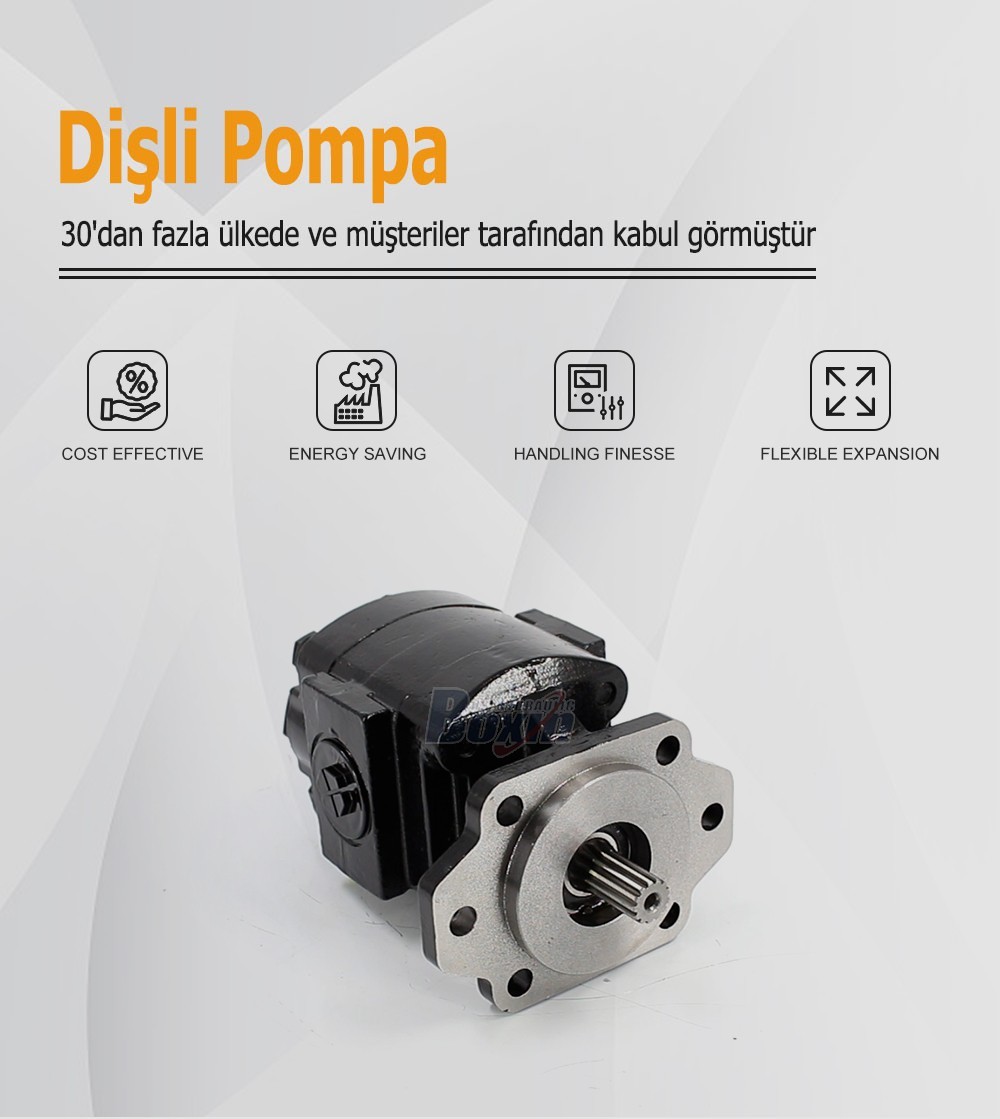 P21A646JEAL20-25 64.6 cc/rev Hydraulic Gear Pump for Industrial Machinery