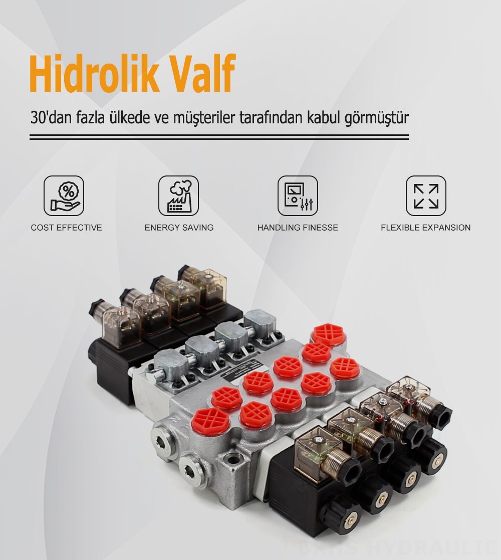 P40-DS Selenoid 4 Makara Monoblok Yönlendirmeli Vana