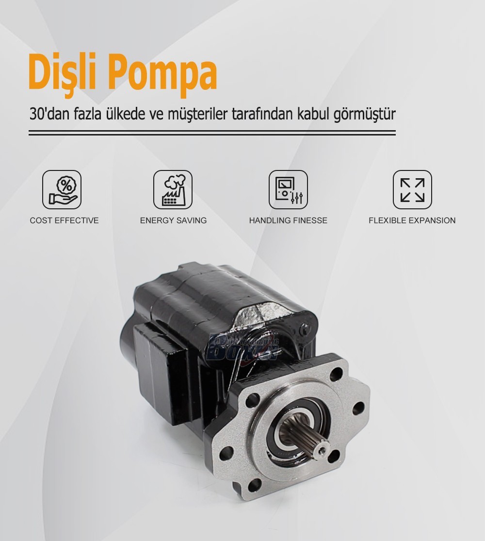Seeking Global Distributors and Wholesalers for P51A646TEYR25-25 Gear Pump